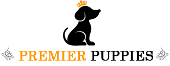 Premier Puppies